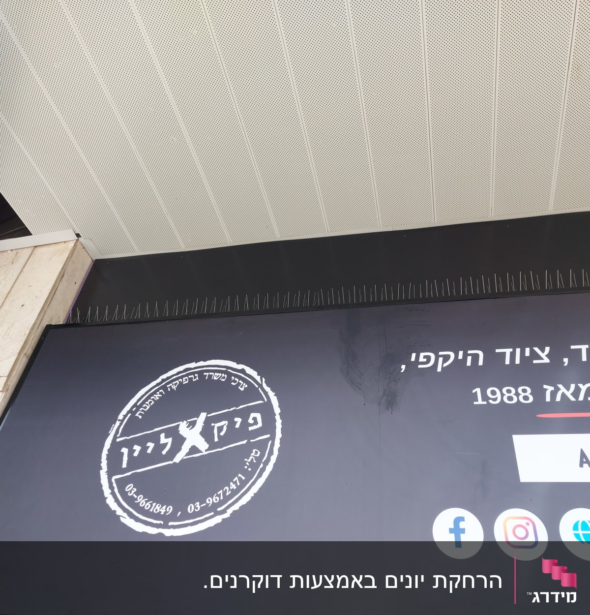 רשת ומחטים למניעת כניסת יונים על גג חנות